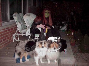 halloween with dogs